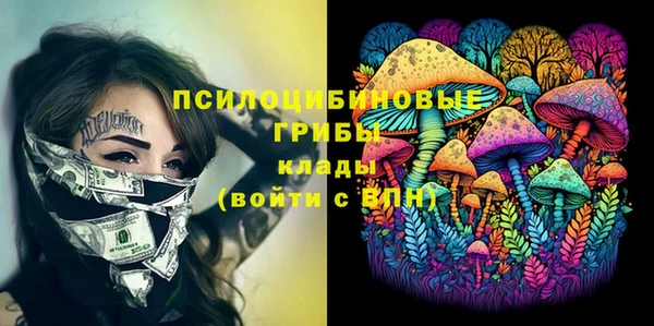 эйфоретик Новый Уренгой