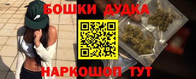 spice Гай