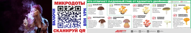 shop официальный сайт  Гагарин  Галлюциногенные грибы MAGIC MUSHROOMS  что такое наркотик 