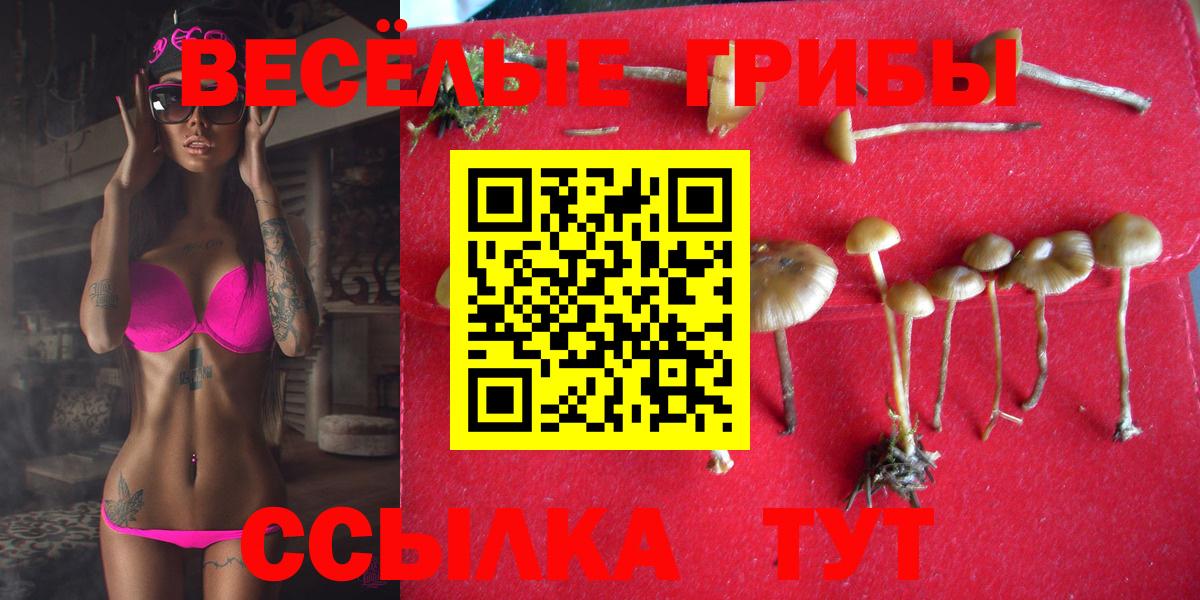 Псилоцибиновые грибы Psilocybine cubensis Гагарин