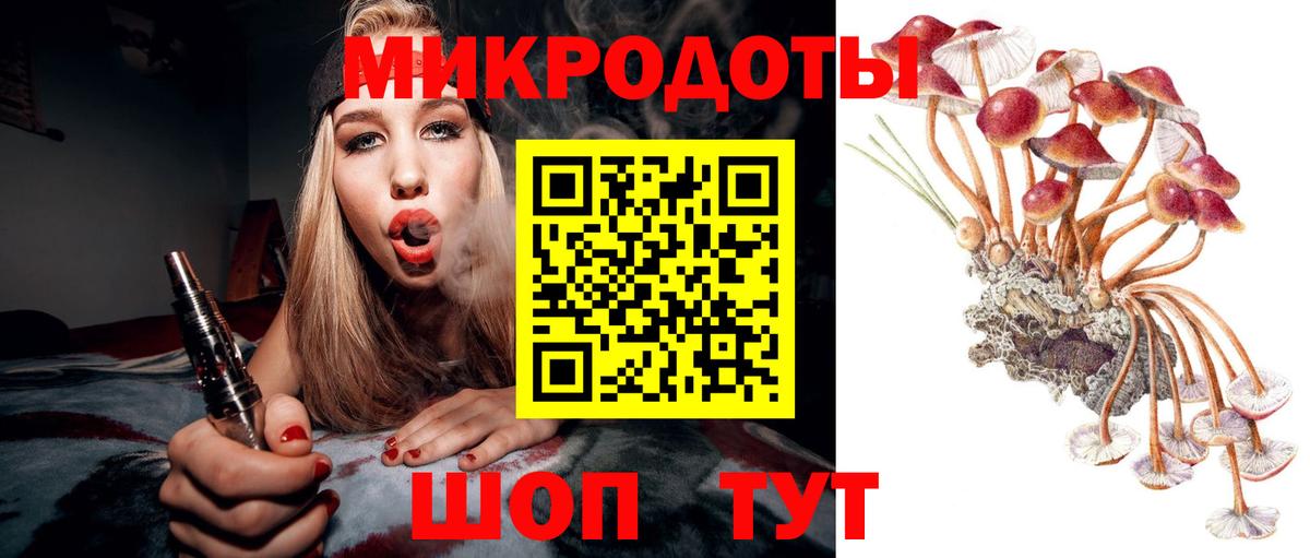 закладка  Галлюциногенные грибы Psilocybe  Вход с VPN  Гагарин  Галлюциногенные грибы мухоморы 