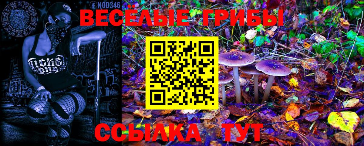 Галлюциногенные грибы Psilocybe Гагарин